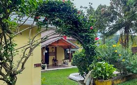 Sumatra Monkey Trekking